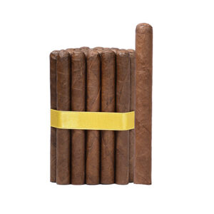 Petit Corona