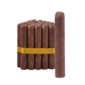 Robusto
